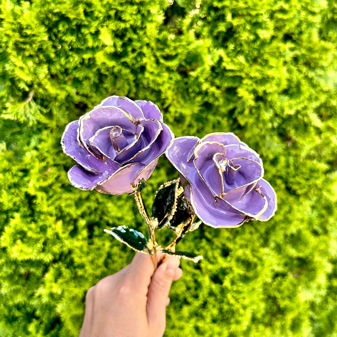 Eternal Lavender Rose Dipped in 24K Gold