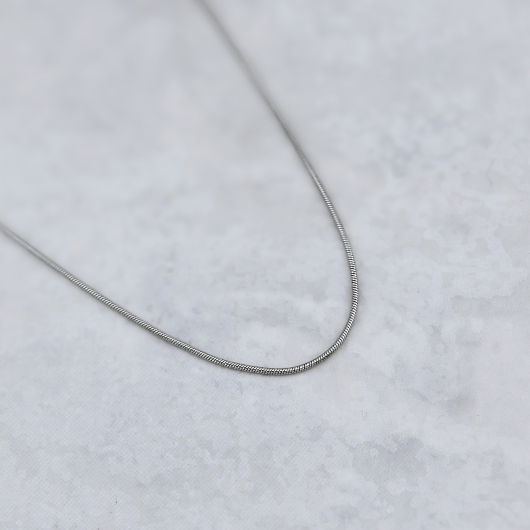 Mathieu Blanchard Bracelets de cheville Chaine Serpentine en acier