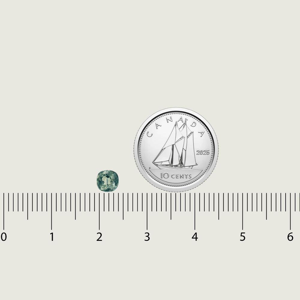 Mathieu Blanchard Saphir Naturel Dry Cottonwood Creek - Montana Taille Cushion 4.75 mm